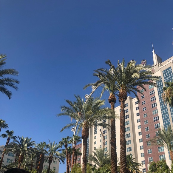 Meet your Posher, Sydney - Picture 1 of 1